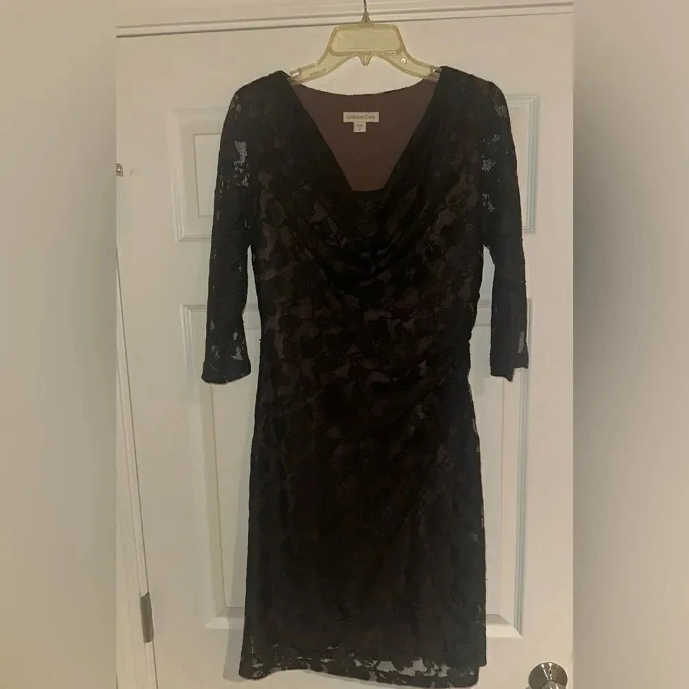 NWOT-Women’s Coldwater Creek Lace‎ Dress. Size 8.